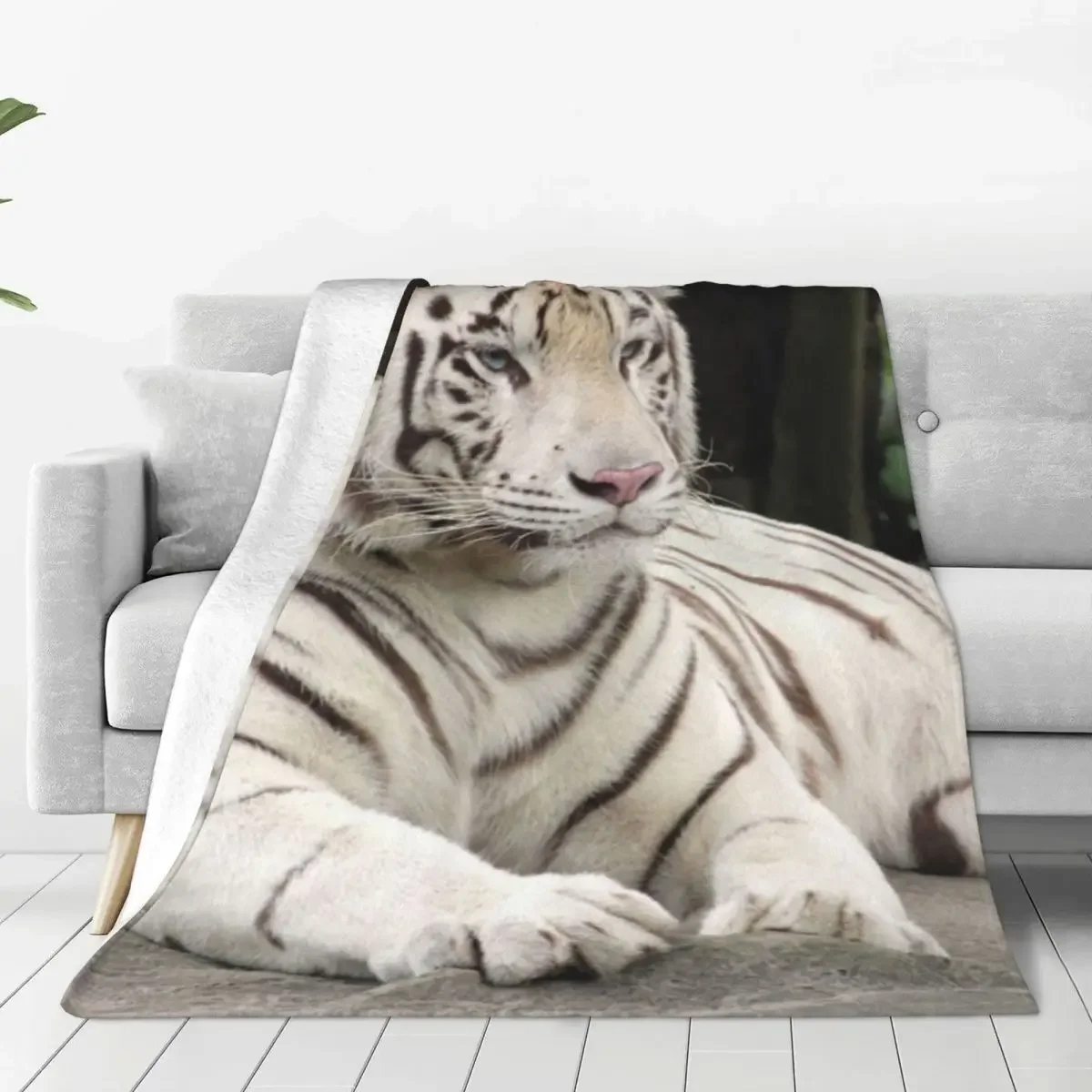 �Ϳ��� ȣ���� ���� �׸� �ö��� ������ ���, ���� �м� ���� ħ��, ���� ����Ʈ �淮 ������ ���� ���� ħ��, �ʴ� ��� ����