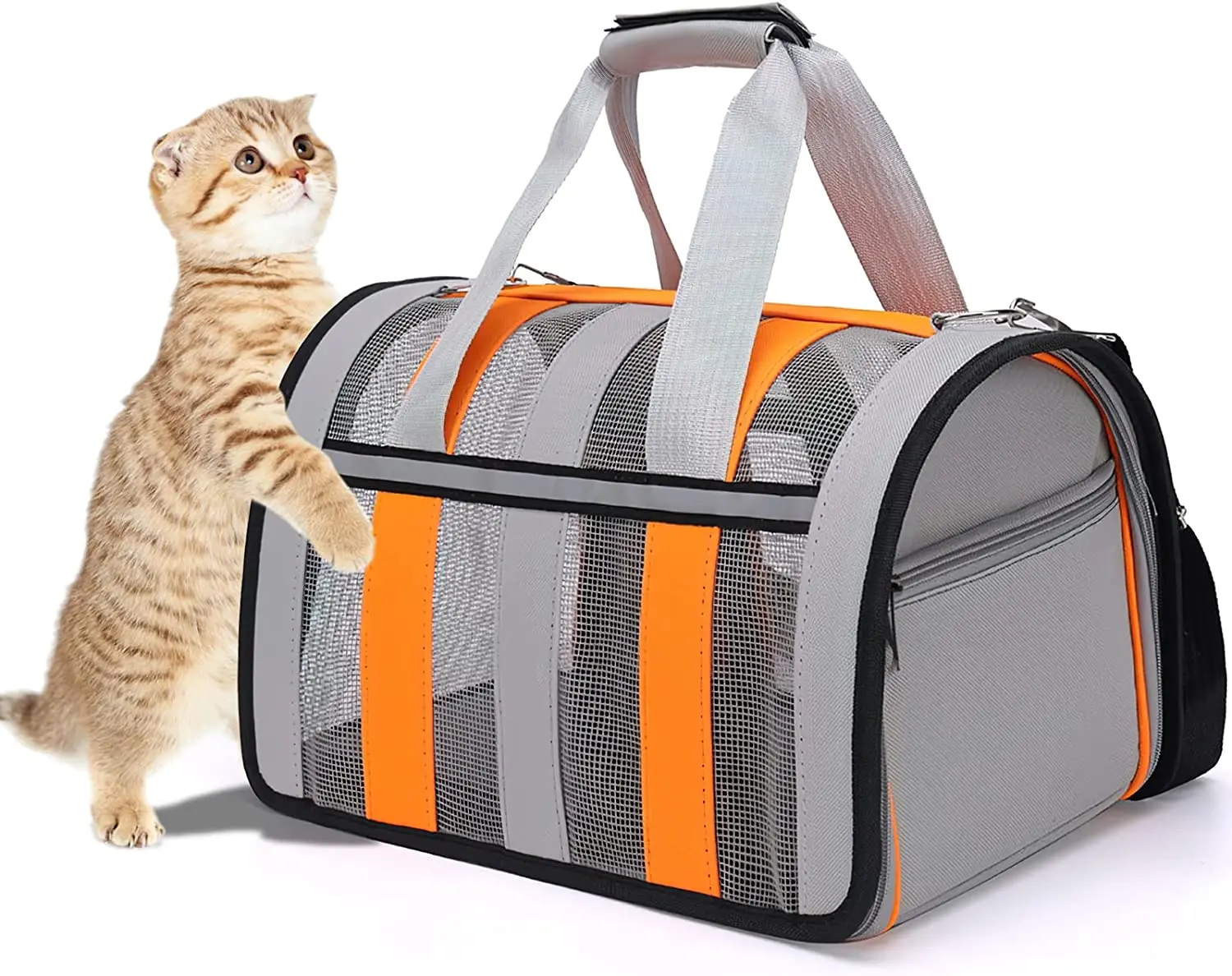 CatsCarrier4pcsSetDogCarrierTravelSoftSidedPetCarrierfor