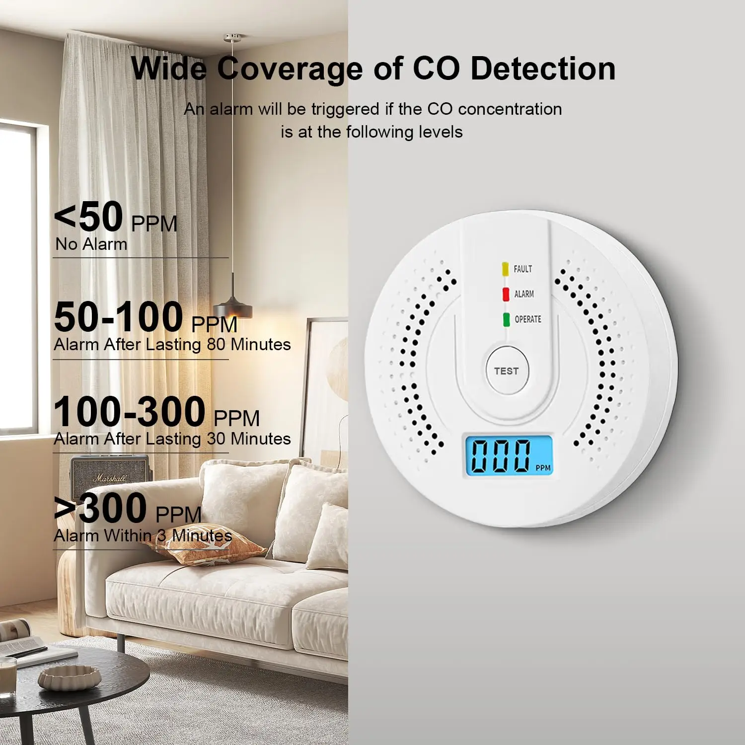 Carbon Monoxide Gas Detector 1