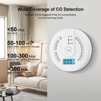 Carbon Monoxide Gas Detector 1