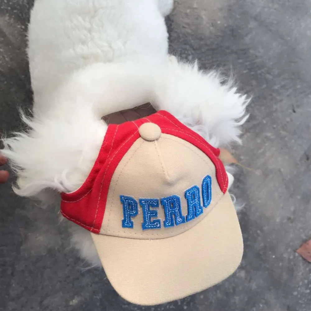 כובע לכלבים דגם PERAO