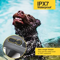 Dog Training Bark Collar 2 in 1 No Bark Control Collar 800M Rechargeable Dog Electric Collar Remote Waterproof Dog Pet Product 5