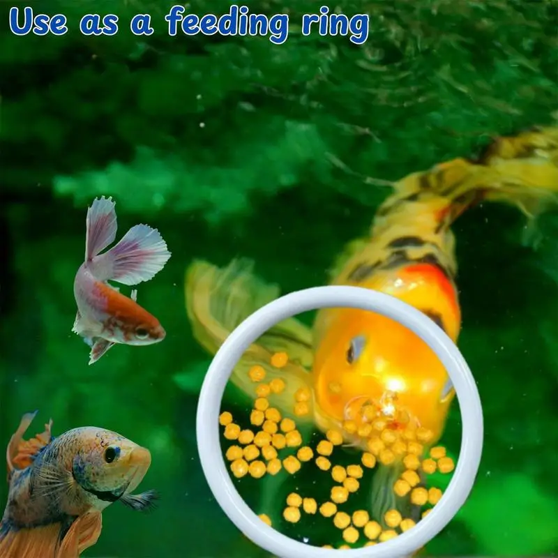 Betta Exercise Ring Training Toys 8pcs Betta Fish Tank Set - Exercise Rings, Floating Feeder, Filter Bio Balls & Suction Cups (Aquarium Enrichment Toys) Enrichment Set For Bettas Betta Exercise Ring Training Toys 8pcs Betta Fish Tank Set - Exercise Rings, Floating Feeder, Filter Bio Balls & Suction Cups (Aquarium Enrichment Toys) Enrichment Set For Bettas