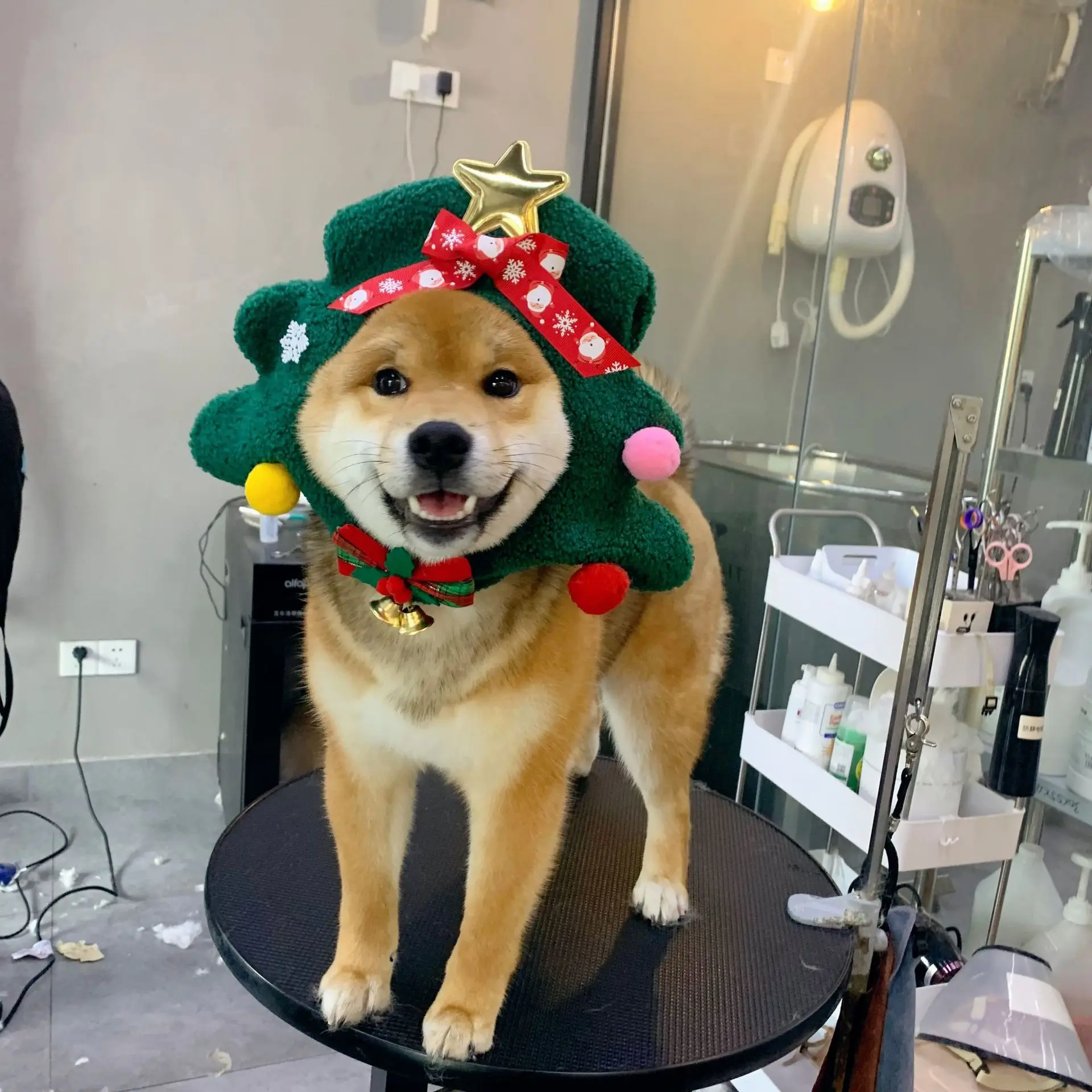 Chapeau de Noël Arbre de Noël | Bouledogue Français | Chat | Luxe - 2025 - Vêtement et accessoires pour chiens - Doglovedesign