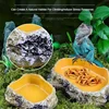 Pet Reptile Water Bowls Terrarium Plate Reptile Feeder Amphibian Feeding Bowl for Frog Chameleon Tortoise Bearded Dragon Turtle 2