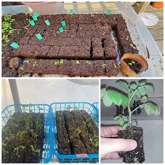 Talajblokk -Készítő Vetőmag Blokkoló Kocka Tervezés Ültetési Talaj Shaper Üvegház - Image 4