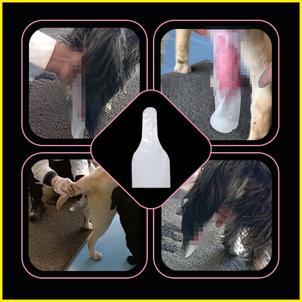 Eshakdagi suniy sperma