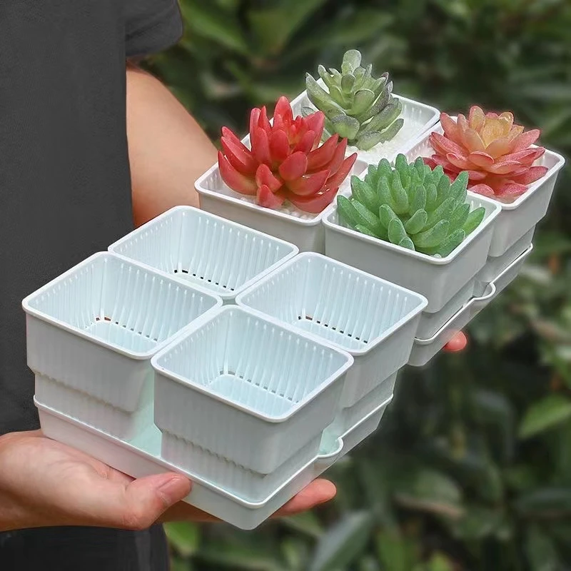 Succulent Planting Kit Breathable Meshpot Succulents Pot Square Flower Pot Nursery Planter Tool Cactus Seedlings Container Plants Box Garden Decor