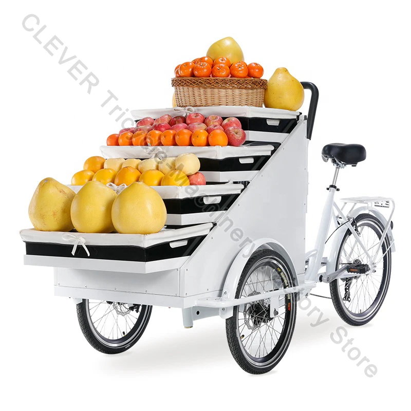 OEM Fruit Retail Tricycle Wheel Electric Cargo Bike Mobile Food Vending