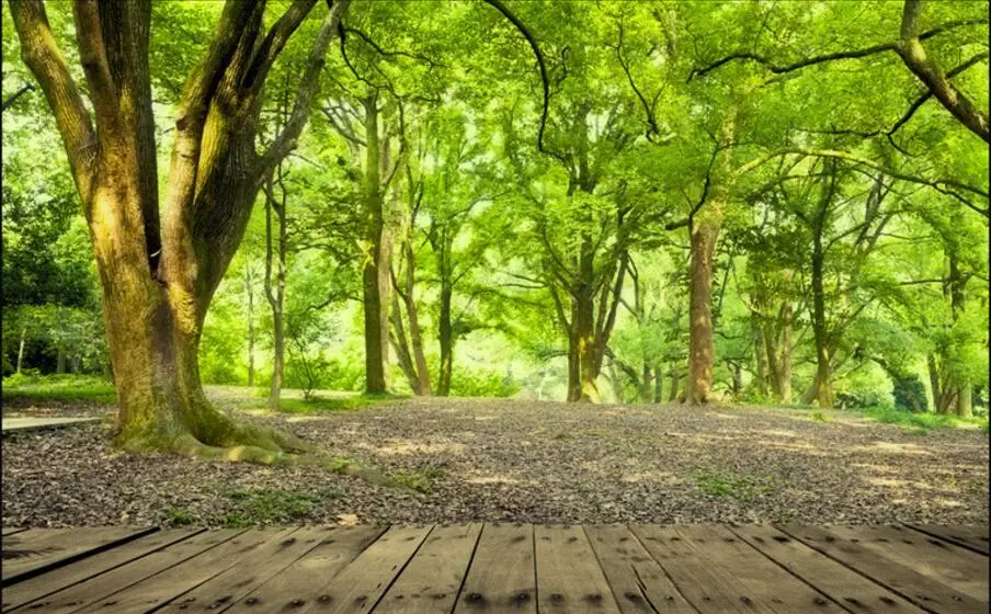 melhorias domésticas