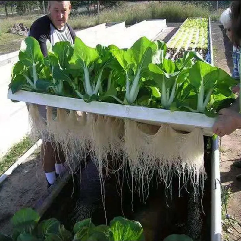 Hydroponic Planting Board 24 Hole Fish Pond Vegetable Planting Floating Plate Balcony Greenhouse Soilless Cultivation Equipment