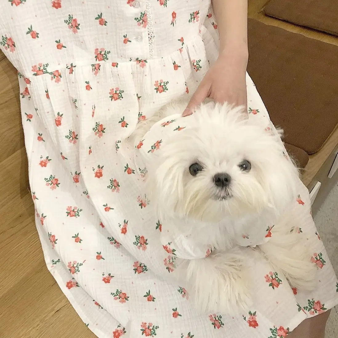 Lovely Flower Dress For Dogs - Wear At Home And Go Out