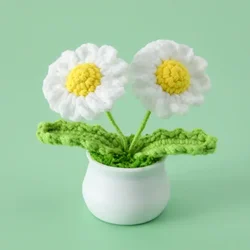 Charming Handmade Daisy Crochet Flower Pot Decor (White)