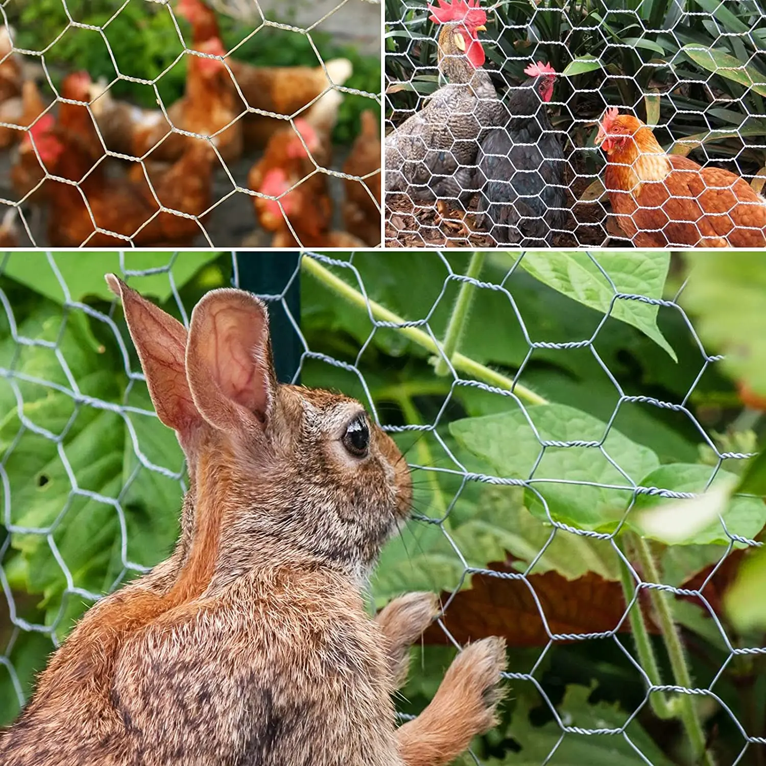 Galvanized Chicken Wire Mesh Roll 25m X 40cm - Hexagonal 0.6mm Wire For Garden Fencing, Crafts & Animal Pens