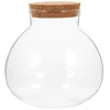 Round Glass Jar Cork Flower Plant Terrarium Micro-Landscape Ecological Bottle Crafts Container Landscape Bottle DIY Decorative 1