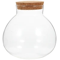 Round Glass Jar Cork Flower Plant Terrarium Micro-Landscape Ecological Bottle Crafts Container Landscape Bottle DIY Decorative 1