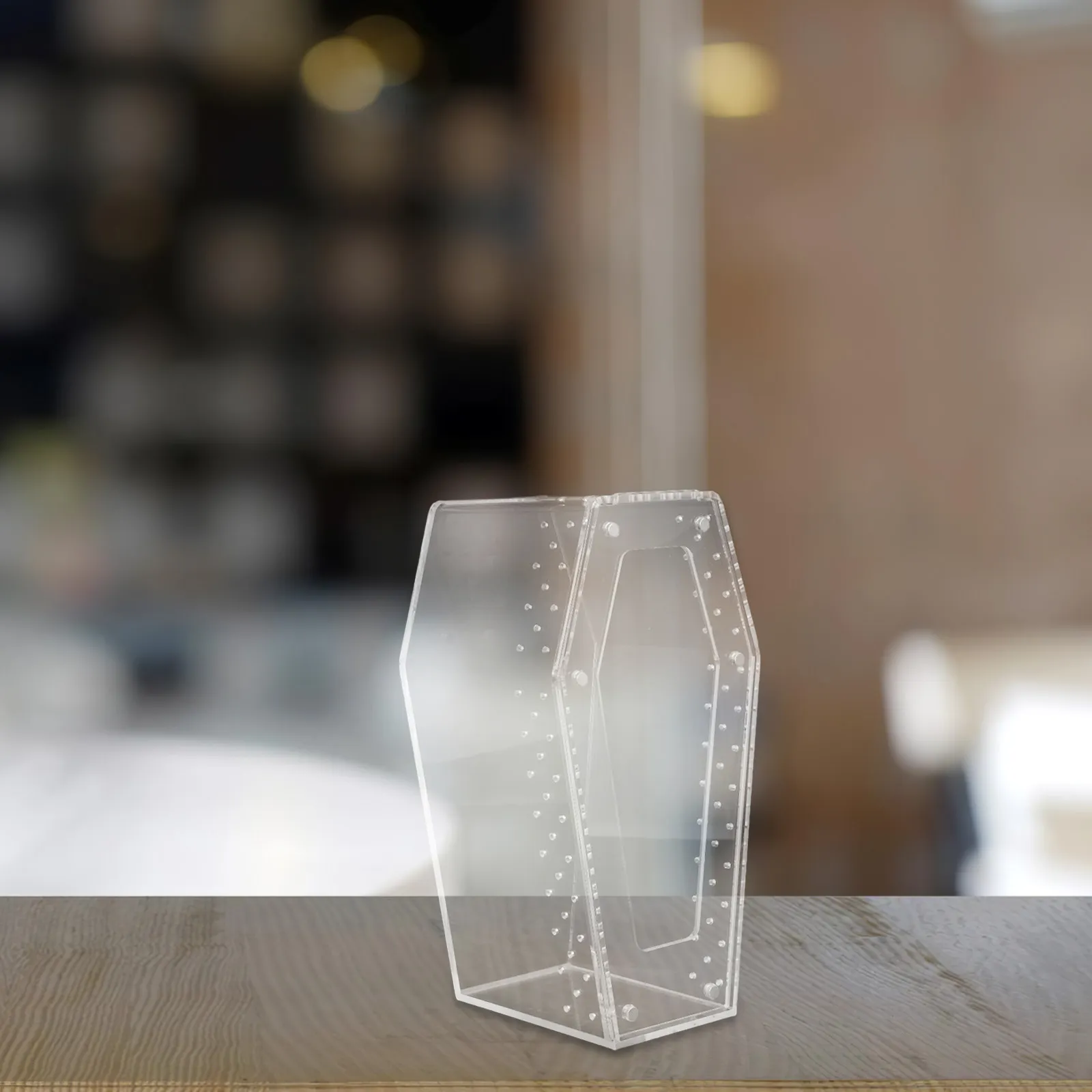 투명 애완동물 관찰용 20X10X10cm 투명 아크릴 파충류 사육탱크 (도마뱀, 개구리, 거미용 테라리움 사육 상자)
