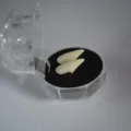 1.9cm