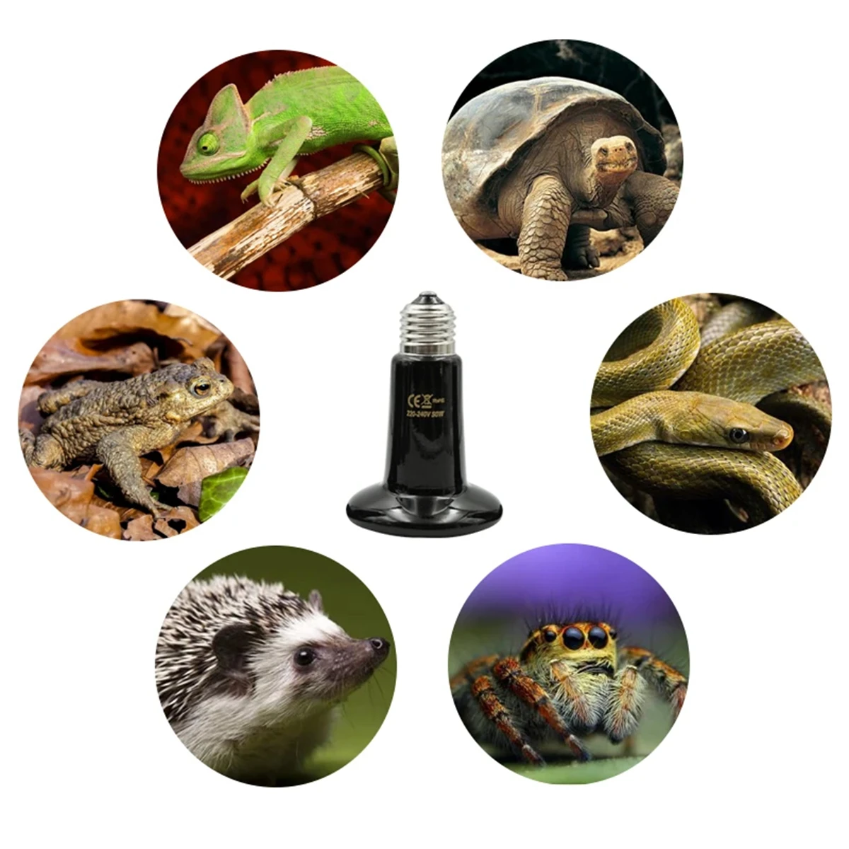 Reptile Ceramic Heating Lamps 6