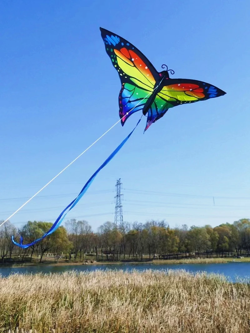 Colorful Butterfly Kids Kite 5