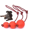 Dog Training Solid Rubber Balls With Rope