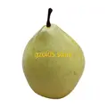 Snow pear