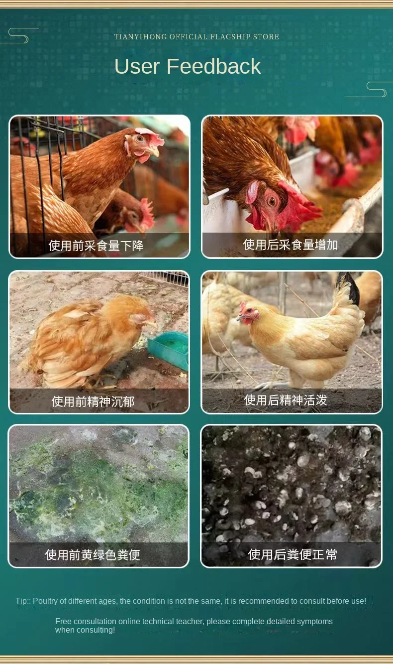 Chicken duck poultry with pigeon quail swollen head face distention crooked neck appetite loss yellow green stool taurine