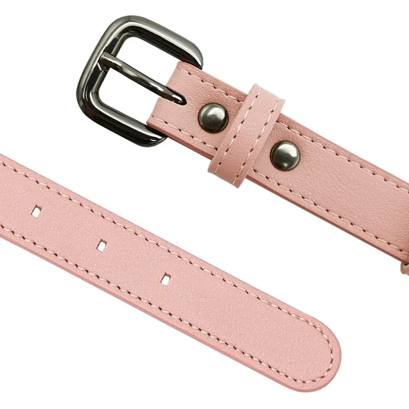 Premium AirTag Pet Collar