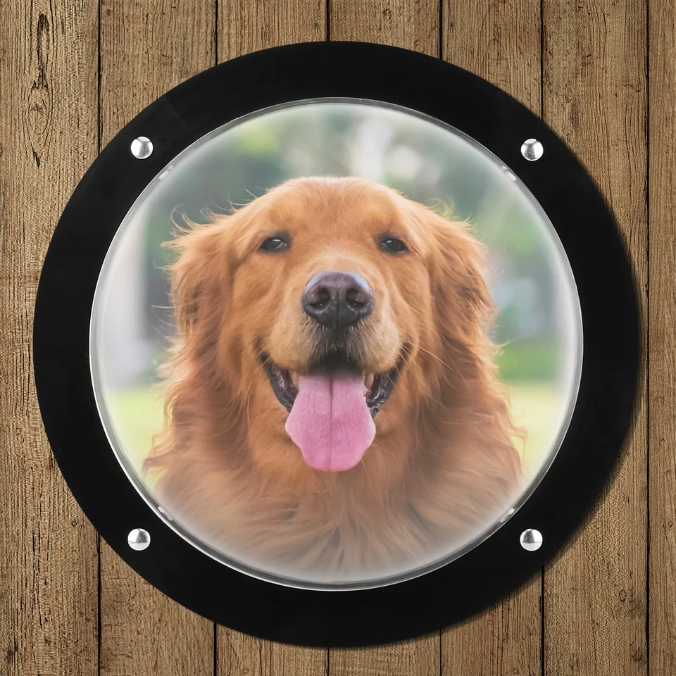 Acrylic Dog Peek Window for Fences and Kennels