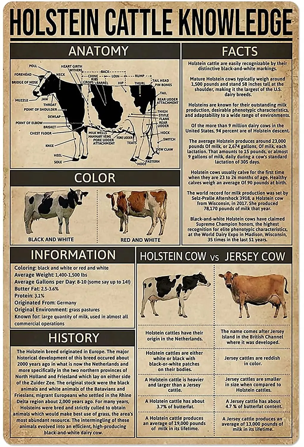 

Holstein Cattle Metal Tin Sign Animal Knowledge Poster Anatomy Farm School Club Wall Decoration Plaque 12x16 Inches