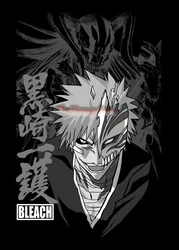 Japanese Manga Bleach Black and White Anime Characters Poster Canvas Print Wall Art - 40X60cm Unframed (5)