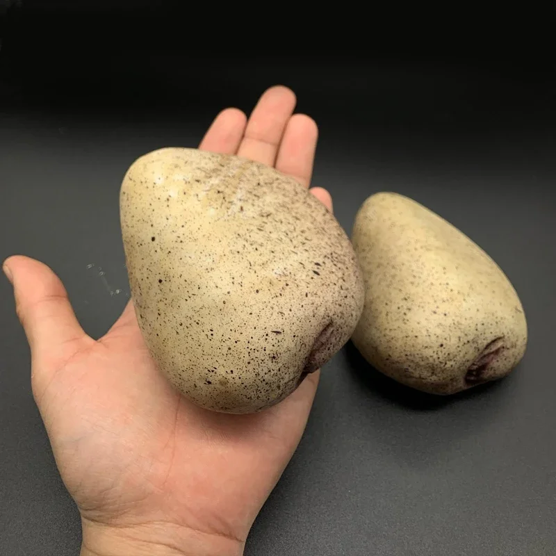 Рисунок 4 - коробка для денег с искусственными