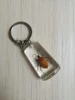 22pcs New Resin Insect Keychain Luminous Scorpion Insect Specimen Pendant Random Color Cute Keychain 6