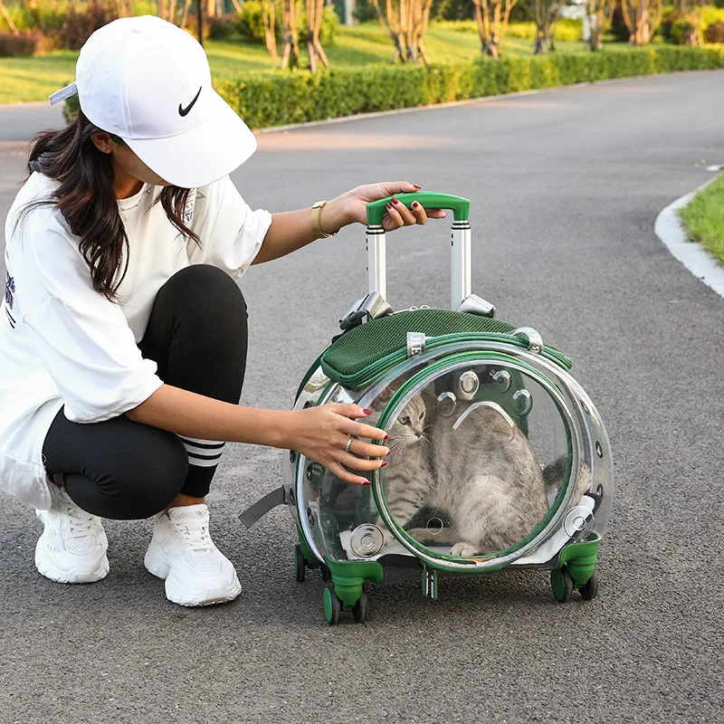 Pet Luggage Backpack Outdoor Large Capacity Breathable Portable Aviation Suitcase Folding Cats Cat Carrier
