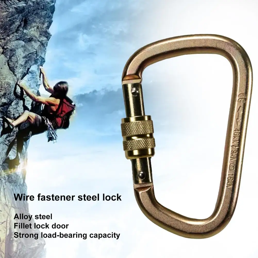 

Carabiner High-strength Anti Rust Strong Load-bearing Lock Alloy Steel D Shaped Safety Master Screw Lock Buckle for Outdoor