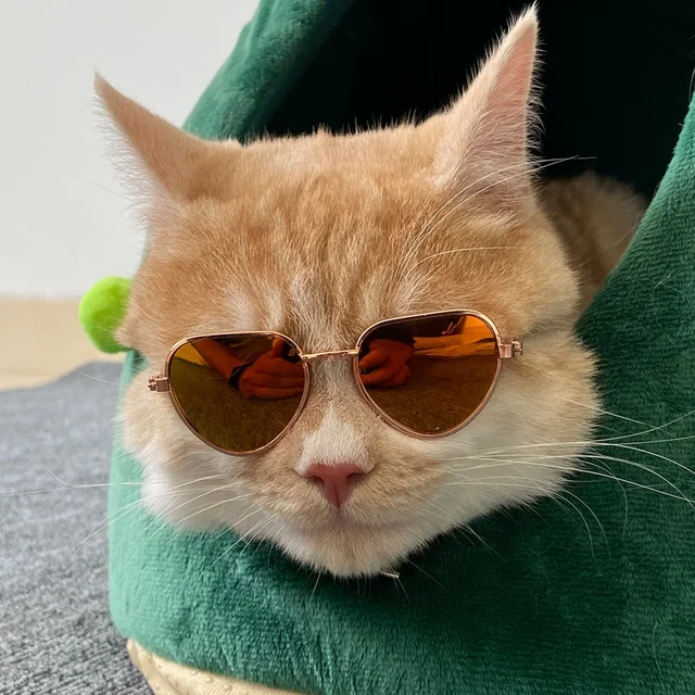 Pet Accessories Cat Glasses Non-slip Kitten Glasses Small Dog Sunglasses Puppy Kitty Cat Sunglasses Cosplay Costume Photos Props 4