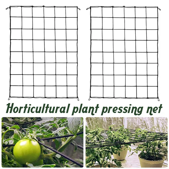 Kerti Művészeti Hálózat Ültetés Sátra Kertészeti Virág, Fű Gyümölcs És Zöldségnövekedési Sátorháló A Gyümölcsök Támogatására Szolgált