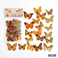 Orange butterfly