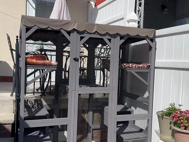 cat enclosure