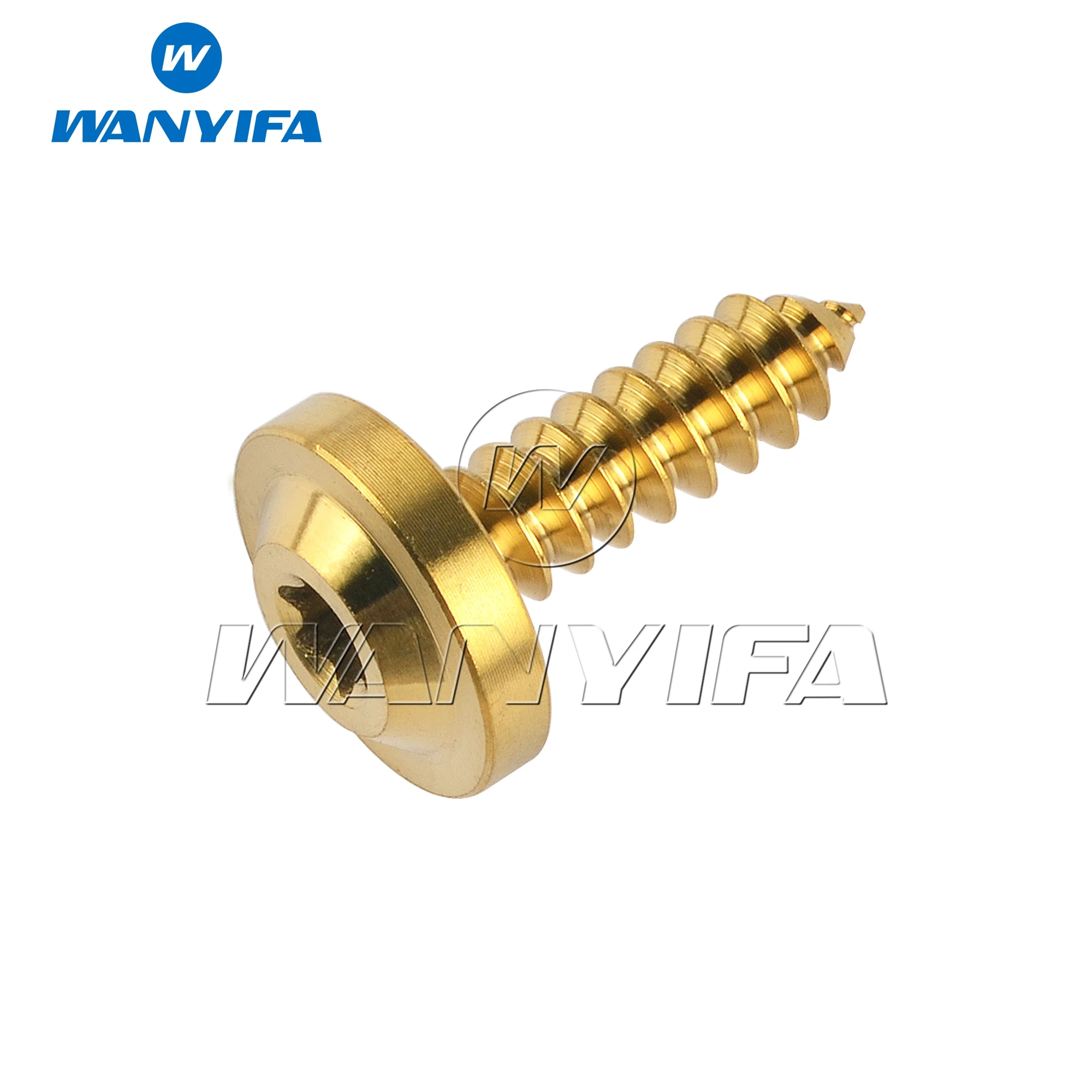 Premium Titanium Self-Tapping Button Screw