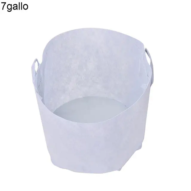 7 Gallon