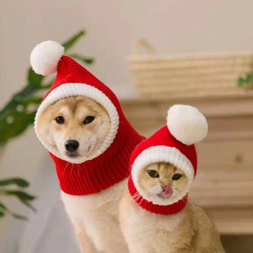 Adorable Red Winter Dog Beanie with Pompon