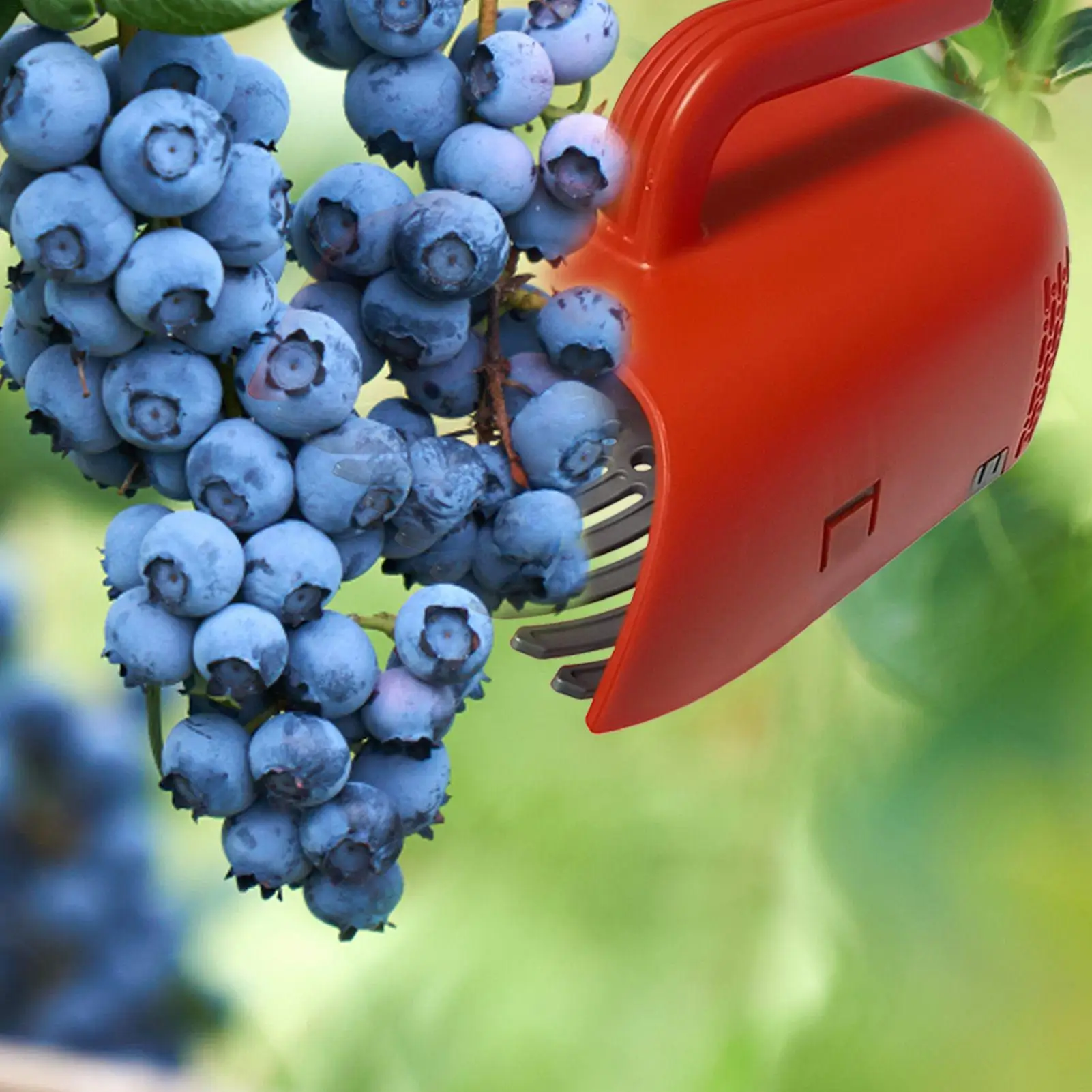 Portable Berry Picker Ergonomic Berry Pick Rake Plastic Handle Picking Tool Blueberry Collection Harvester with Ergonomic Handle