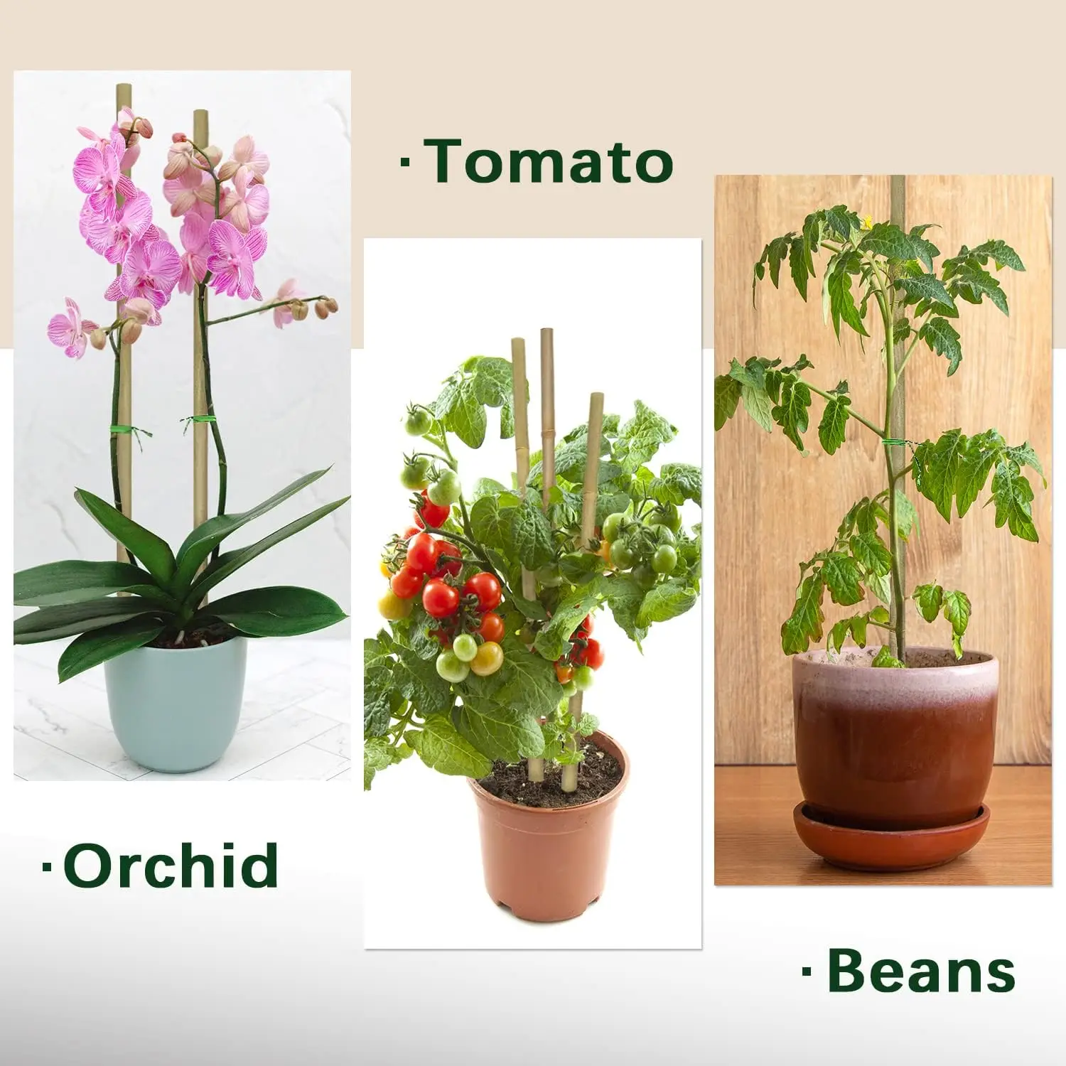 Plant stakes plant support stick 10pcs Bamboo Plant Stakes For Outdoor and Indoor Bamboo Sticks Garden Support Stakes Bamboo Poles Trellis for Tomato Vegetables