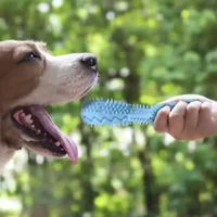 Dog Teething Toy Chew Stick Bite Resistant Fun Leak Proof Food Toy Pet Teether Cleaner Stick 3