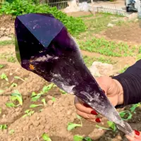 Magical Natural Uruguayan Amethyst Backbone Purple Quartz Crystal Scepter Treatment Home Demagnetization Decorative Energy Gem 1
