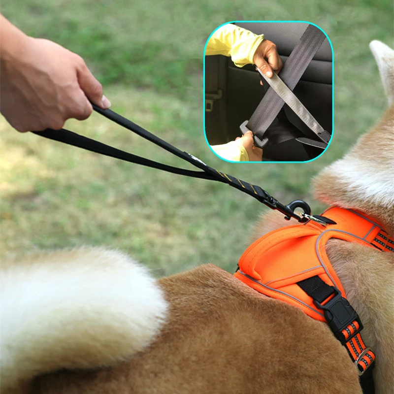 wasserette ze Maak een bed Hondenriem Korte Honden Aangelijnd Reflecterende Nylon Riemen Voor Honden  Lopen Multifunctionele Veiligheidsgordels Voor Hond Reizen Huisdier  Producten| | - AliExpress