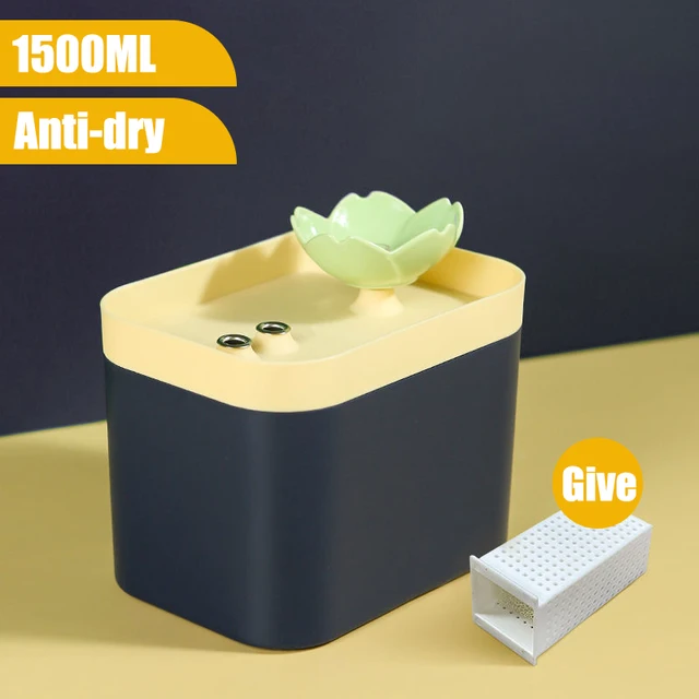 with Anti-Dry 2