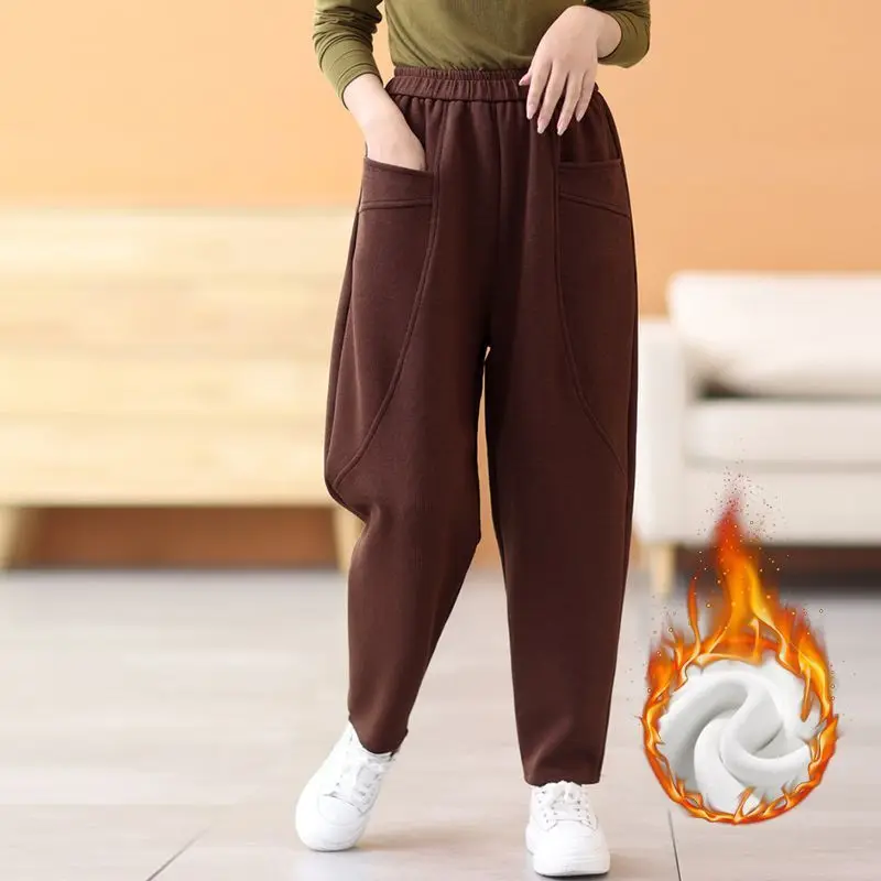 Women's Autumn and Winter Plush Thickened Loose High Waist Elastic Radish Pants Pockets Fashion Solid Color Casual Harlan Pants