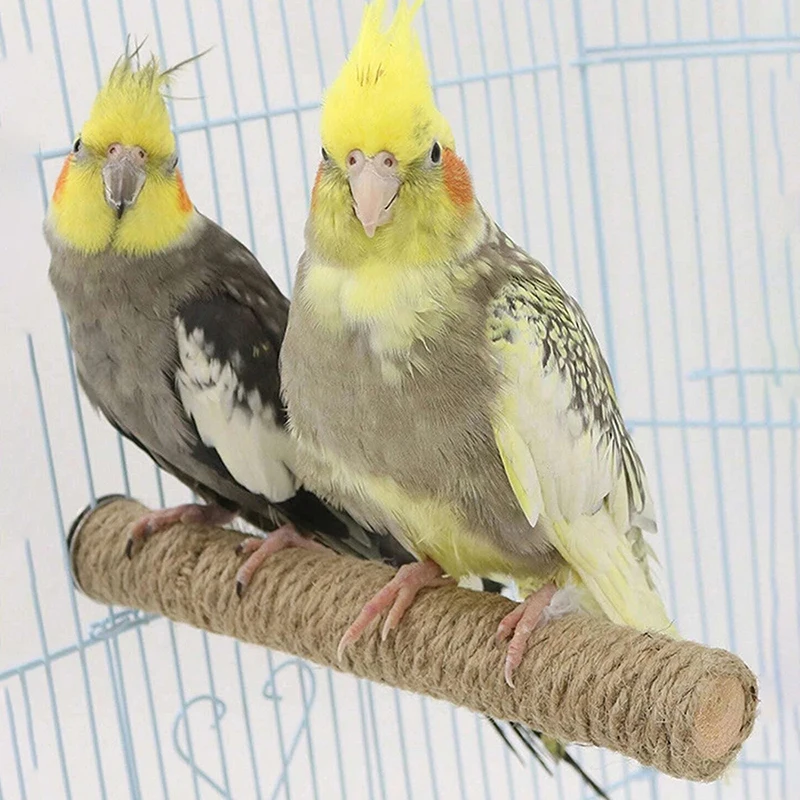 1PC Bird grinding claw rod Parrot standing rod Cage accessories twine standing bird toy supplies